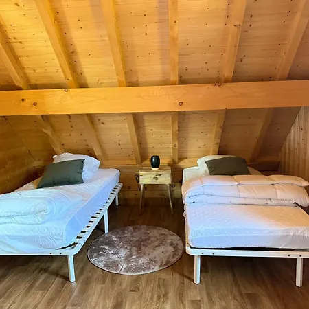 Chaleureux Proche Des Pistes Holiday home